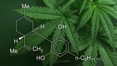 CBD, marijuana agus cnáib: Cad é an difríocht idir na táirgí cannabais seo, a...