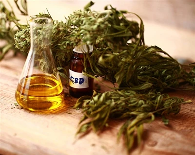 Conas a Oibríonn CBD?