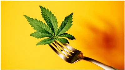 CBD CC